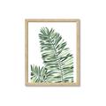 Picture of Tropical Leaf III _GroupedProduct_Rectangle_Portrait_Framed_Matted_