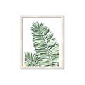 Picture of Tropical Leaf III _GroupedProduct_Rectangle_Portrait_Framed_Matted_