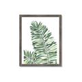 Picture of Tropical Leaf III _GroupedProduct_Rectangle_Portrait_Framed_Matted_