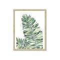 Picture of Tropical Leaf III _GroupedProduct_Rectangle_Portrait_Framed_Matted_