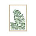 Picture of Tropical Leaf III _GroupedProduct_Rectangle_Portrait_Framed_Matted_