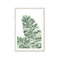 Picture of Tropical Leaf III _GroupedProduct_Rectangle_Portrait_Framed_Matted_