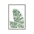 Picture of Tropical Leaf III _GroupedProduct_Rectangle_Portrait_Framed_Matted_