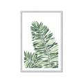 Picture of Tropical Leaf III _GroupedProduct_Rectangle_Portrait_Framed_Matted_