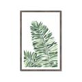 Picture of Tropical Leaf III _GroupedProduct_Rectangle_Portrait_Framed_Matted_