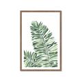Picture of Tropical Leaf III _GroupedProduct_Rectangle_Portrait_Framed_Matted_