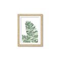 Picture of Tropical Leaf III _GroupedProduct_Rectangle_Portrait_Framed_Matted_