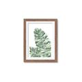Picture of Tropical Leaf III _GroupedProduct_Rectangle_Portrait_Framed_Matted_