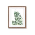 Picture of Tropical Leaf III _GroupedProduct_Rectangle_Portrait_Framed_Matted_