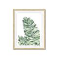 Picture of Tropical Leaf III _GroupedProduct_Rectangle_Portrait_Framed_Matted_