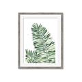 Picture of Tropical Leaf III _GroupedProduct_Rectangle_Portrait_Framed_Matted_