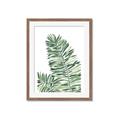 Picture of Tropical Leaf III _GroupedProduct_Rectangle_Portrait_Framed_Matted_