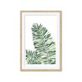 Picture of Tropical Leaf III _GroupedProduct_Rectangle_Portrait_Framed_Matted_