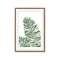 Picture of Tropical Leaf III _GroupedProduct_Rectangle_Portrait_Framed_Matted_