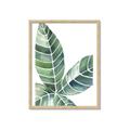 Picture of Tropical Leaf IV _GroupedProduct_Rectangle_Portrait_Framed_Matted_