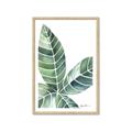 Picture of Tropical Leaf IV _GroupedProduct_Rectangle_Portrait_Framed_Matted_