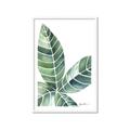 Picture of Tropical Leaf IV _GroupedProduct_Rectangle_Portrait_Framed_Matted_