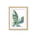 Picture of Tropical Leaf IV _GroupedProduct_Rectangle_Portrait_Framed_Matted_