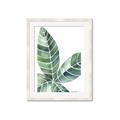 Picture of Tropical Leaf IV _GroupedProduct_Rectangle_Portrait_Framed_Matted_