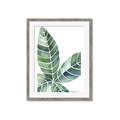 Picture of Tropical Leaf IV _GroupedProduct_Rectangle_Portrait_Framed_Matted_