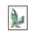 Picture of Tropical Leaf IV _GroupedProduct_Rectangle_Portrait_Framed_Matted_