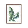Picture of Tropical Leaf IV _GroupedProduct_Rectangle_Portrait_Framed_Matted_
