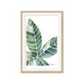 Picture of Tropical Leaf IV _GroupedProduct_Rectangle_Portrait_Framed_Matted_