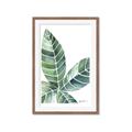 Picture of Tropical Leaf IV _GroupedProduct_Rectangle_Portrait_Framed_Matted_