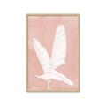 Picture of Pink Palm II _GroupedProduct_Rectangle_Portrait_Framed_Matted_