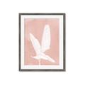 Picture of Pink Palm II _GroupedProduct_Rectangle_Portrait_Framed_Matted_