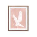Picture of Pink Palm II _GroupedProduct_Rectangle_Portrait_Framed_Matted_