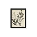 Picture of Shadow Botanical I  _GroupedProduct_Rectangle_Portrait_Framed_Matted_