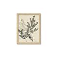 Picture of Shadow Botanical I  _GroupedProduct_Rectangle_Portrait_Framed_Matted_