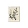 Picture of Shadow Botanical I  _GroupedProduct_Rectangle_Portrait_Framed_Matted_