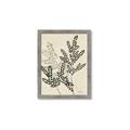 Picture of Shadow Botanical I  _GroupedProduct_Rectangle_Portrait_Framed_Matted_