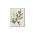 Picture of Shadow Botanical I  _GroupedProduct_Rectangle_Portrait_Framed_Matted_