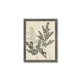 Picture of Shadow Botanical I  _GroupedProduct_Rectangle_Portrait_Framed_Matted_