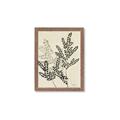 Picture of Shadow Botanical I  _GroupedProduct_Rectangle_Portrait_Framed_Matted_