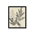 Picture of Shadow Botanical I  _GroupedProduct_Rectangle_Portrait_Framed_Matted_