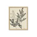 Picture of Shadow Botanical I  _GroupedProduct_Rectangle_Portrait_Framed_Matted_