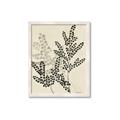 Picture of Shadow Botanical I  _GroupedProduct_Rectangle_Portrait_Framed_Matted_