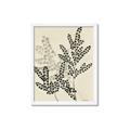 Picture of Shadow Botanical I  _GroupedProduct_Rectangle_Portrait_Framed_Matted_