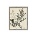 Picture of Shadow Botanical I  _GroupedProduct_Rectangle_Portrait_Framed_Matted_