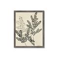 Picture of Shadow Botanical I  _GroupedProduct_Rectangle_Portrait_Framed_Matted_