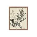 Picture of Shadow Botanical I  _GroupedProduct_Rectangle_Portrait_Framed_Matted_