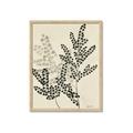 Picture of Shadow Botanical I  _GroupedProduct_Rectangle_Portrait_Framed_Matted_