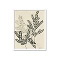Picture of Shadow Botanical I  _GroupedProduct_Rectangle_Portrait_Framed_Matted_