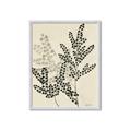 Picture of Shadow Botanical I  _GroupedProduct_Rectangle_Portrait_Framed_Matted_
