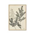 Picture of Shadow Botanical I  _GroupedProduct_Rectangle_Portrait_Framed_Matted_