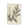 Picture of Shadow Botanical I  _GroupedProduct_Rectangle_Portrait_Framed_Matted_